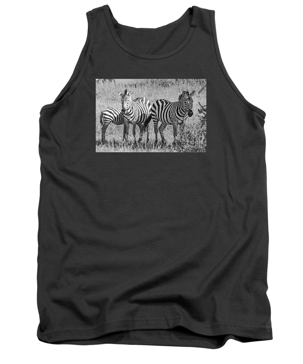 Zebras Tank Top featuring the photograph Zebras in thought by Pravine Chester