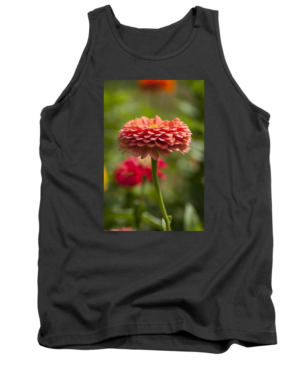 Beallesville Tank Top featuring the photograph Zinnia portrait by Brian Green