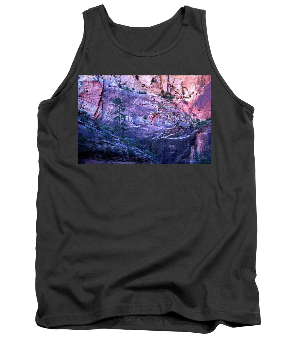 Canyon Lands Tank Top featuring the photograph Zion Canyon Wall by David Chasey