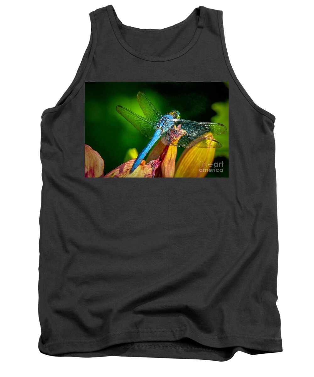 Beautiful Tank Top featuring the photograph Blue Dragonfly #2 by Susan Rydberg