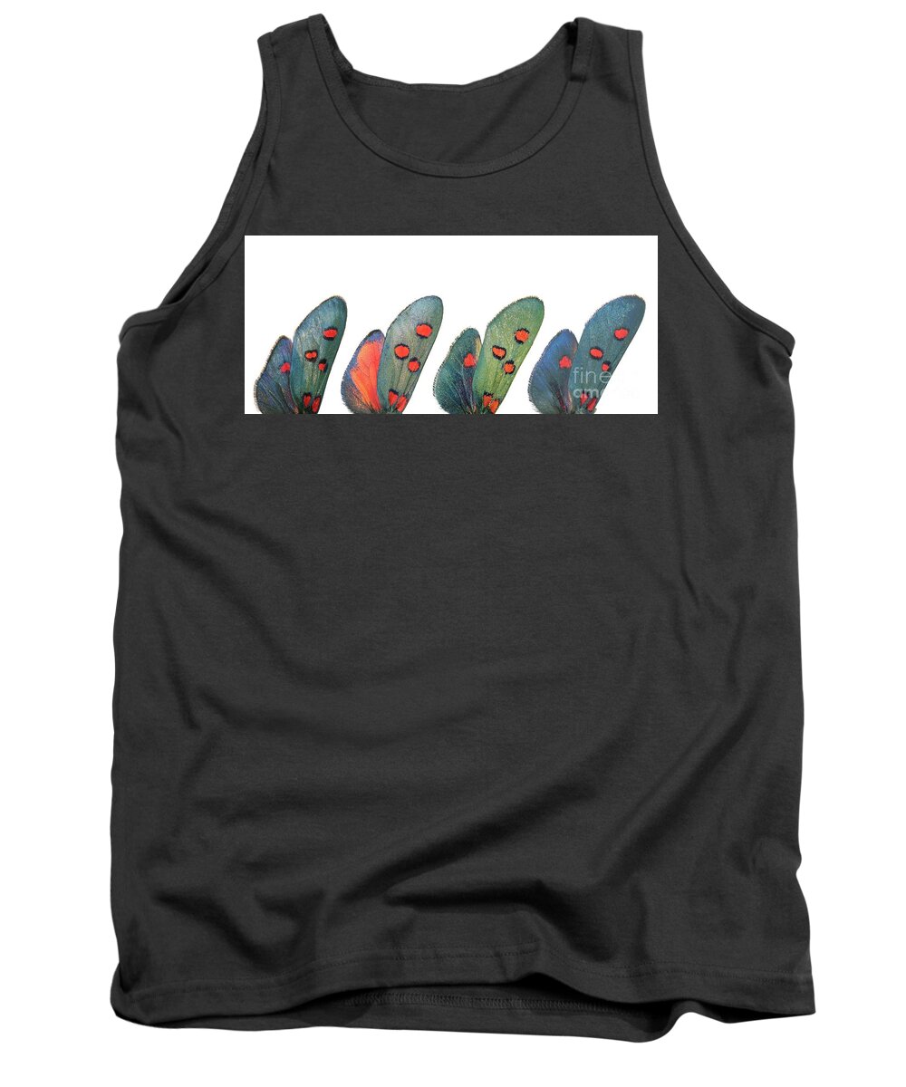 Specimen Tank Top featuring the photograph Burnet moth wings by Martinez Clavel