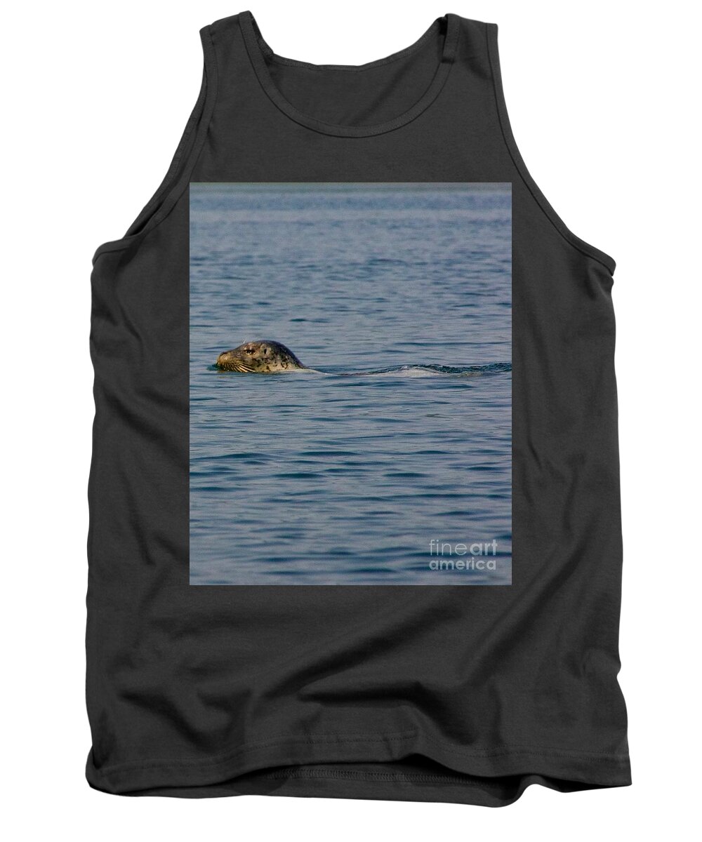 Photography Tank Top featuring the photograph Pacific Harbor Seal #1 by Sean Griffin