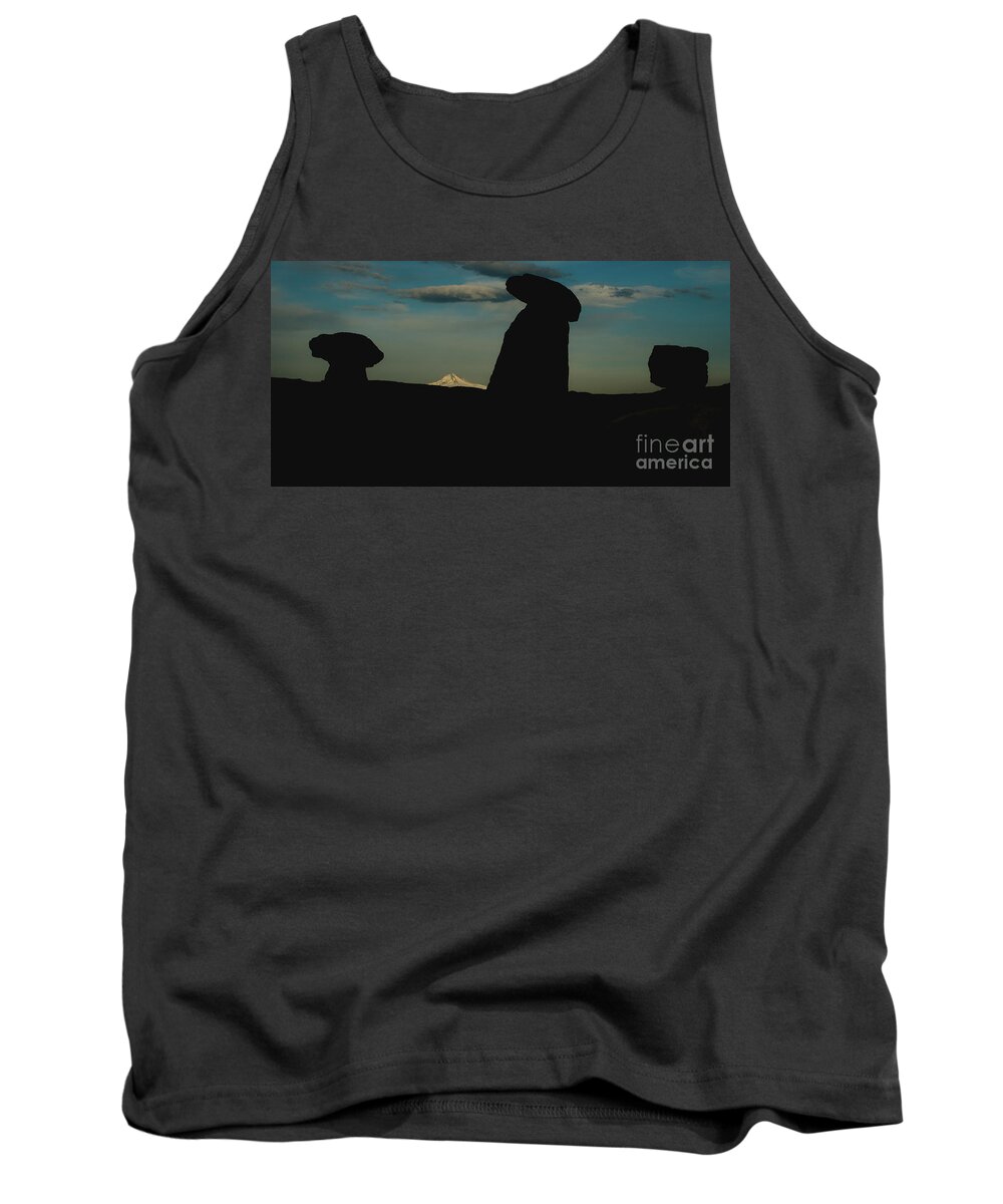 Architecture Tank Top featuring the photograph Turkish landscapes with snowy mountains in the background #1 by Joaquin Corbalan