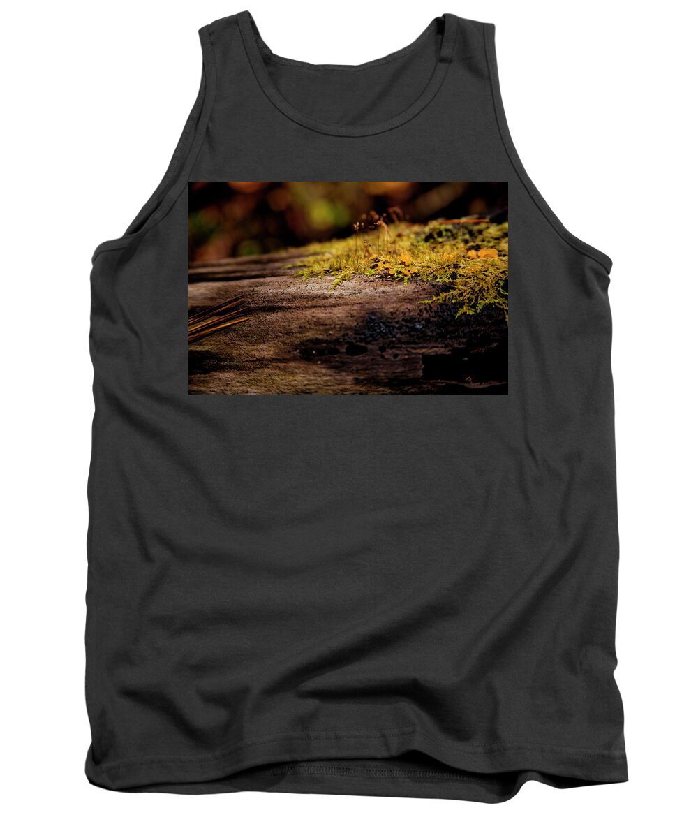 Fall Colors Tank Top featuring the photograph Yellow Flowers On Tree Trunk #1 by David Chasey