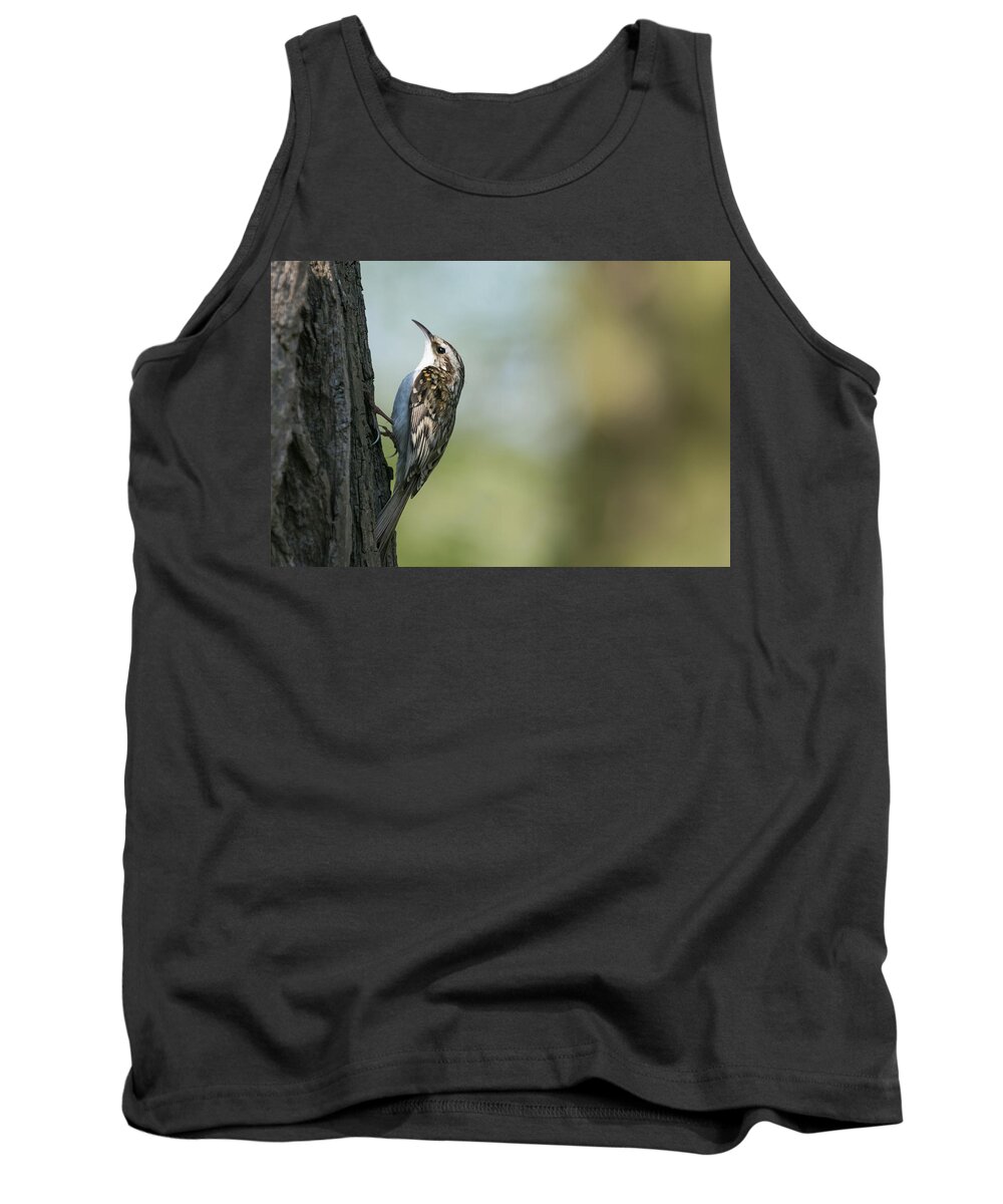 Photography Tank Top featuring the photograph Treecreeper #4 by Wendy Cooper