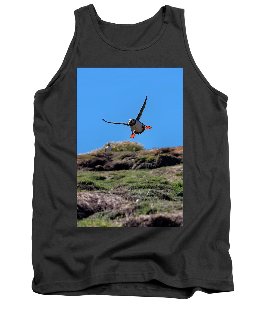 Puffin Tank Top featuring the photograph Atlantic Puffin #6 by Kuni Photography
