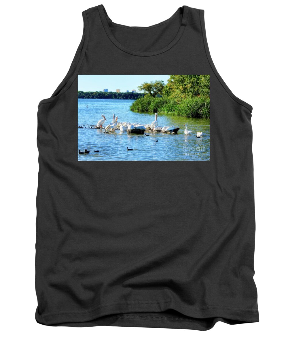 Pelicans Tank Top featuring the photograph A Pelicans Life by Joan Bertucci