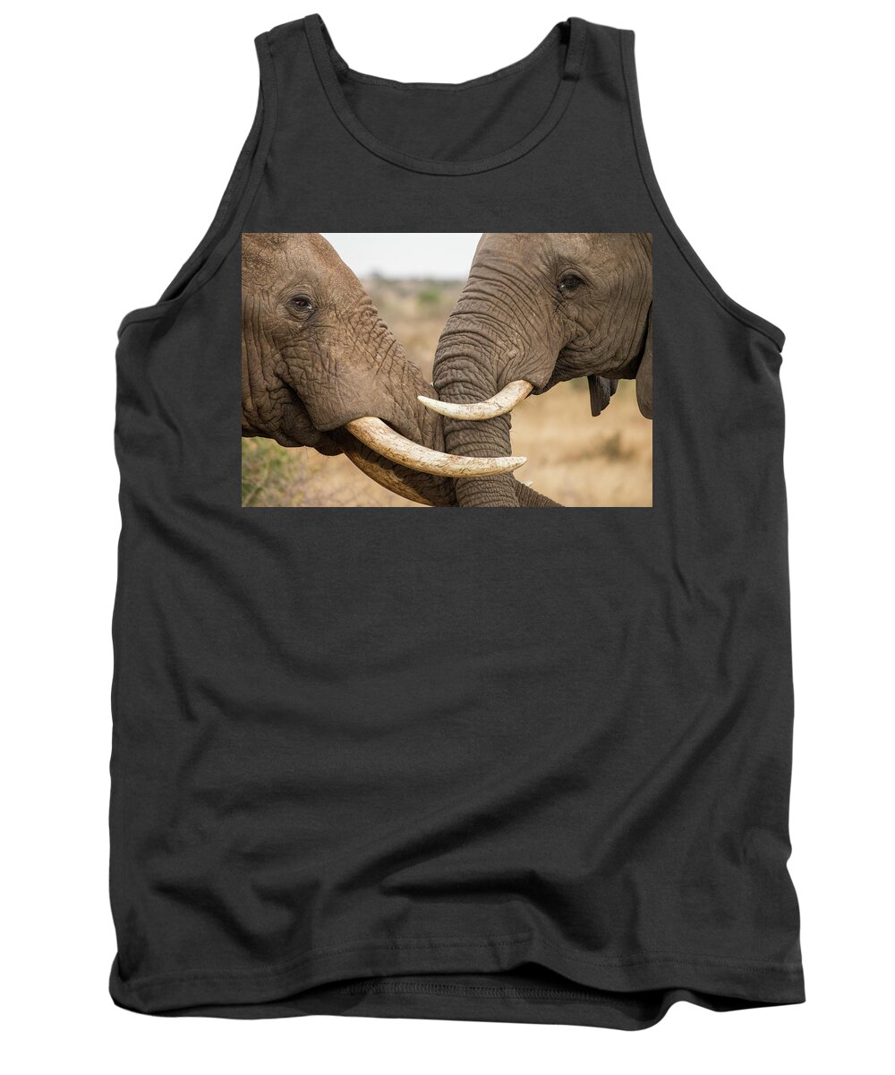 Sebastian Kennerknecht Tank Top featuring the photograph African Elephant Bulls Fighting by Sebastian Kennerknecht