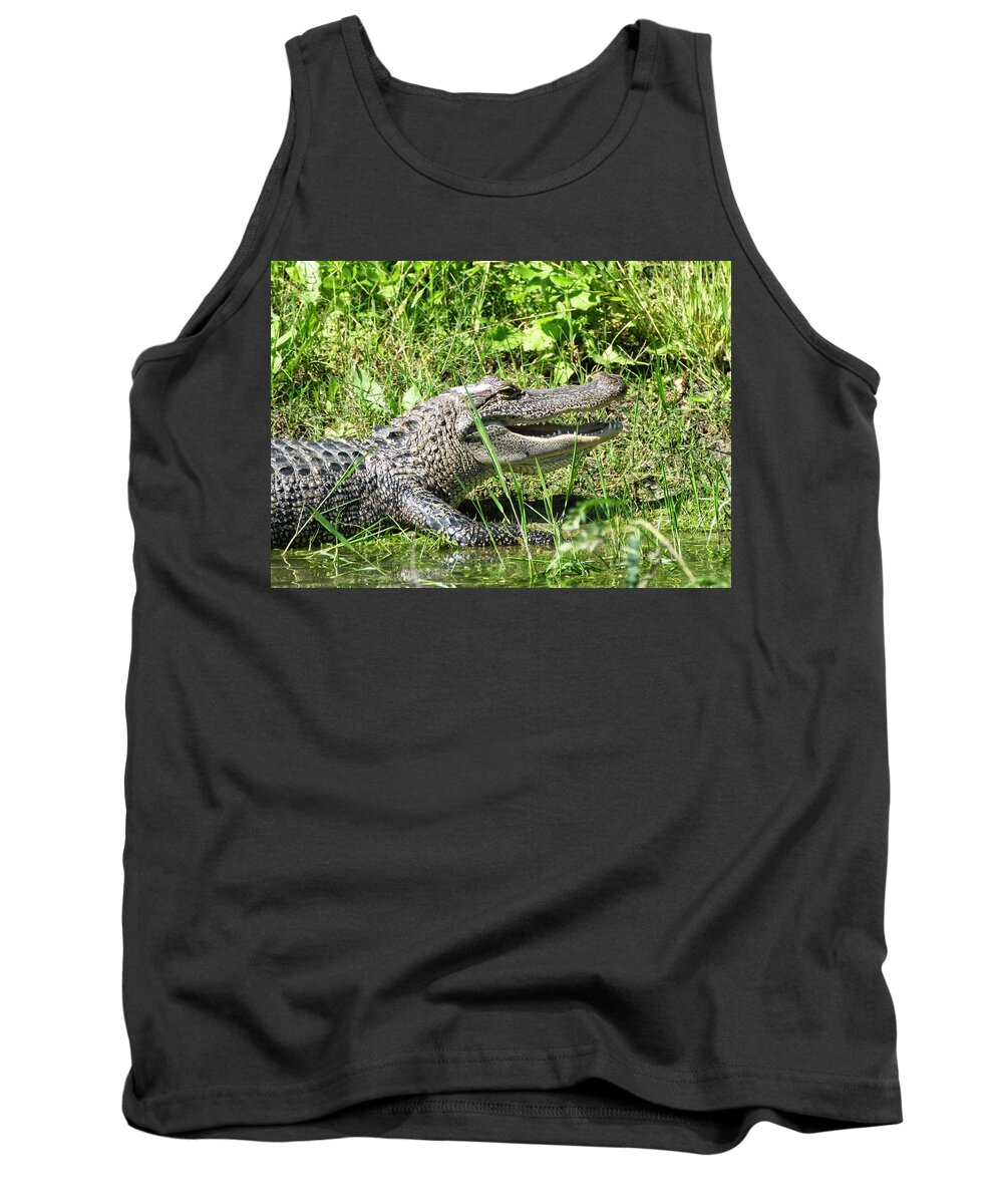 Alligator Tank Top featuring the photograph Alligator Grin by Ty Husak