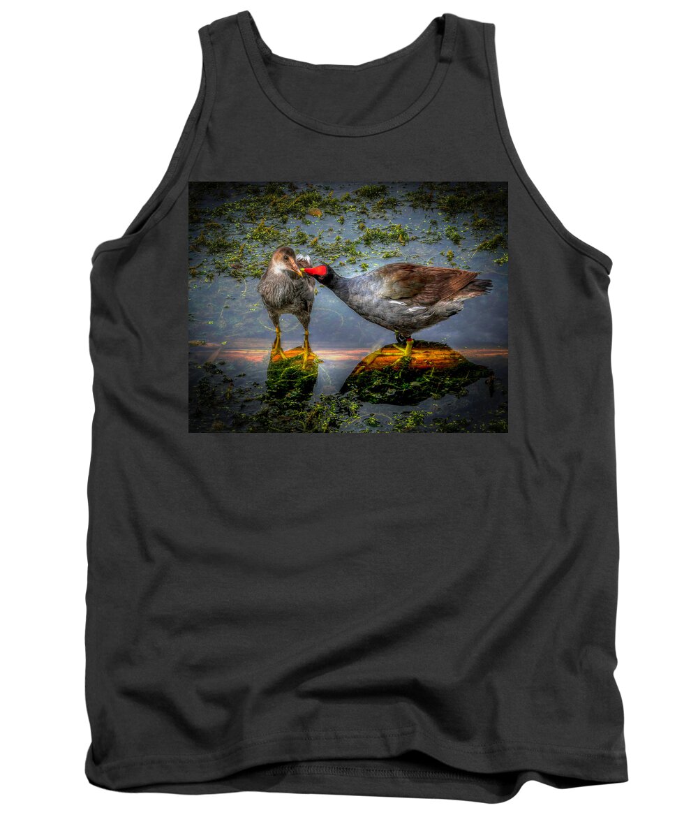 Coot Tank Top featuring the photograph American Coot by Pete Rems