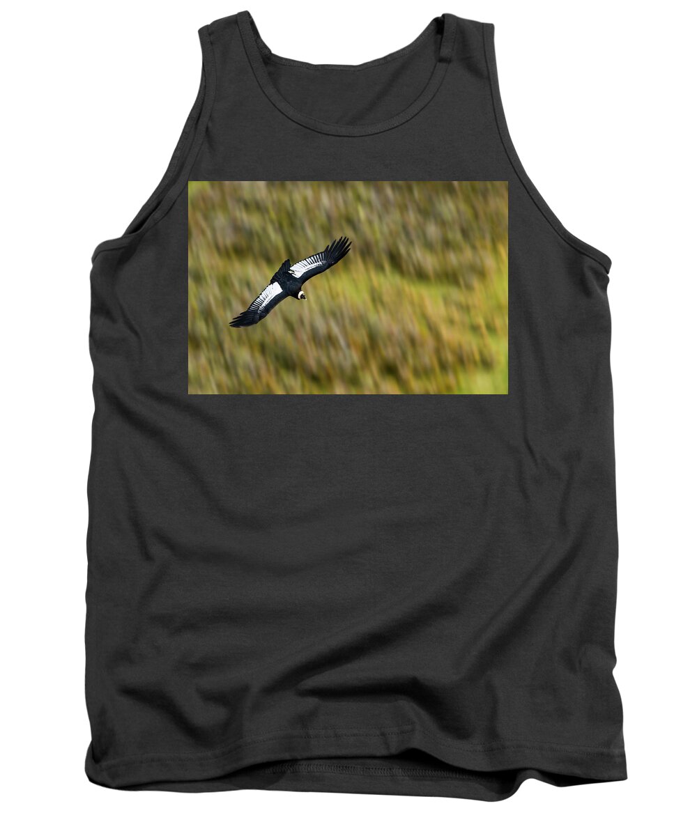 Sebastian Kennerknecht Tank Top featuring the photograph Andean Condor Flying Over Torres Del Paine by Sebastian Kennerknecht