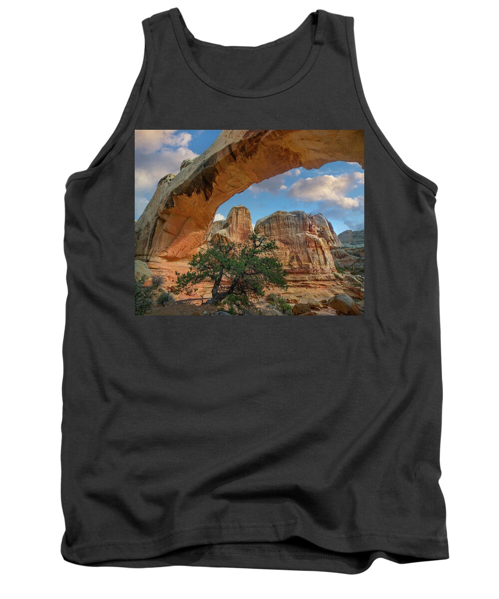 00567613 Tank Top featuring the photograph Arch, Hickman Bridge, Capitol Reef National Park, Utah by Tim Fitzharris