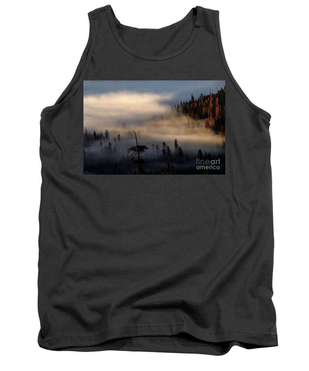 Larch Tank Top featuring the photograph Autumn Dawning by Michael Dawson