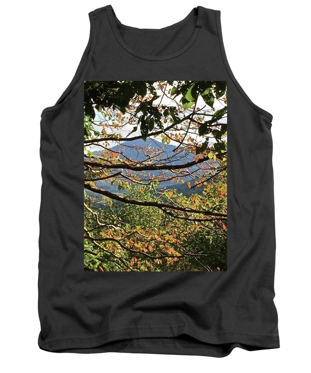 Mountain Tank Top featuring the photograph Autumn Mountain by Kathy Chism