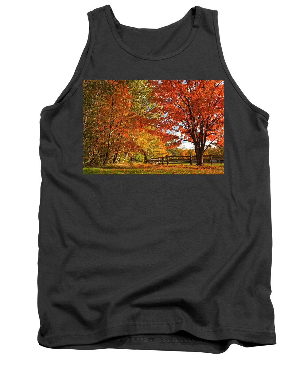 Estock Tank Top featuring the digital art Autumn Near Conway, New Hampshire by Claudia Uripos