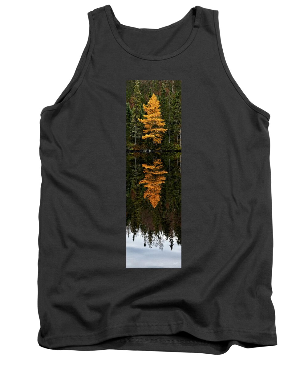 Canada Northern Ontario Ontario Calm Boreal Forest Fores Peaceful Calm Reflections Golden Yellow Tamarack Tank Top featuring the photograph Autumn Tamarack by Doug Gibbons