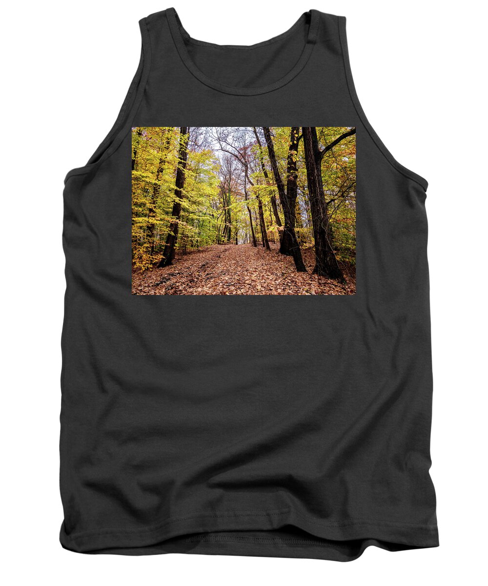 Fall Tank Top featuring the photograph Autumn Woods by Louis Dallara