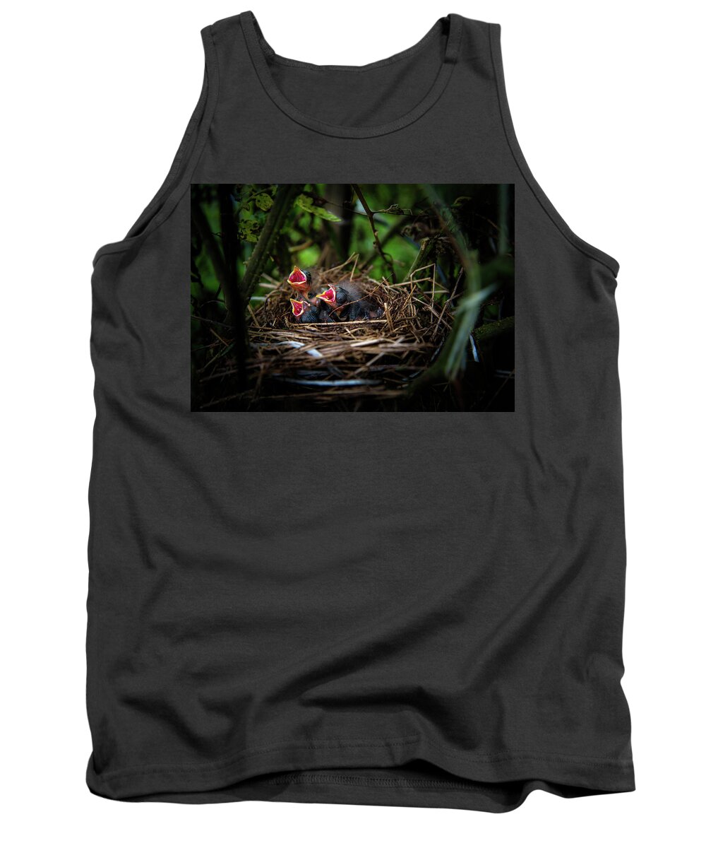 Chrystal Mimbs Tank Top featuring the photograph Baby Birds by Greg and Chrystal Mimbs