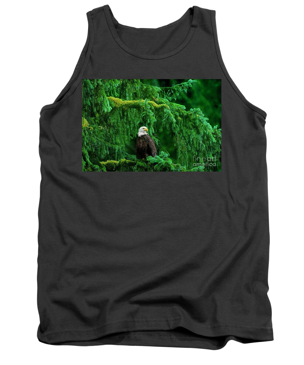 Bald Eagle Tank Top featuring the photograph Bald Eagle in Temperate Rainforest Alaska Endangered Species by Dave Welling