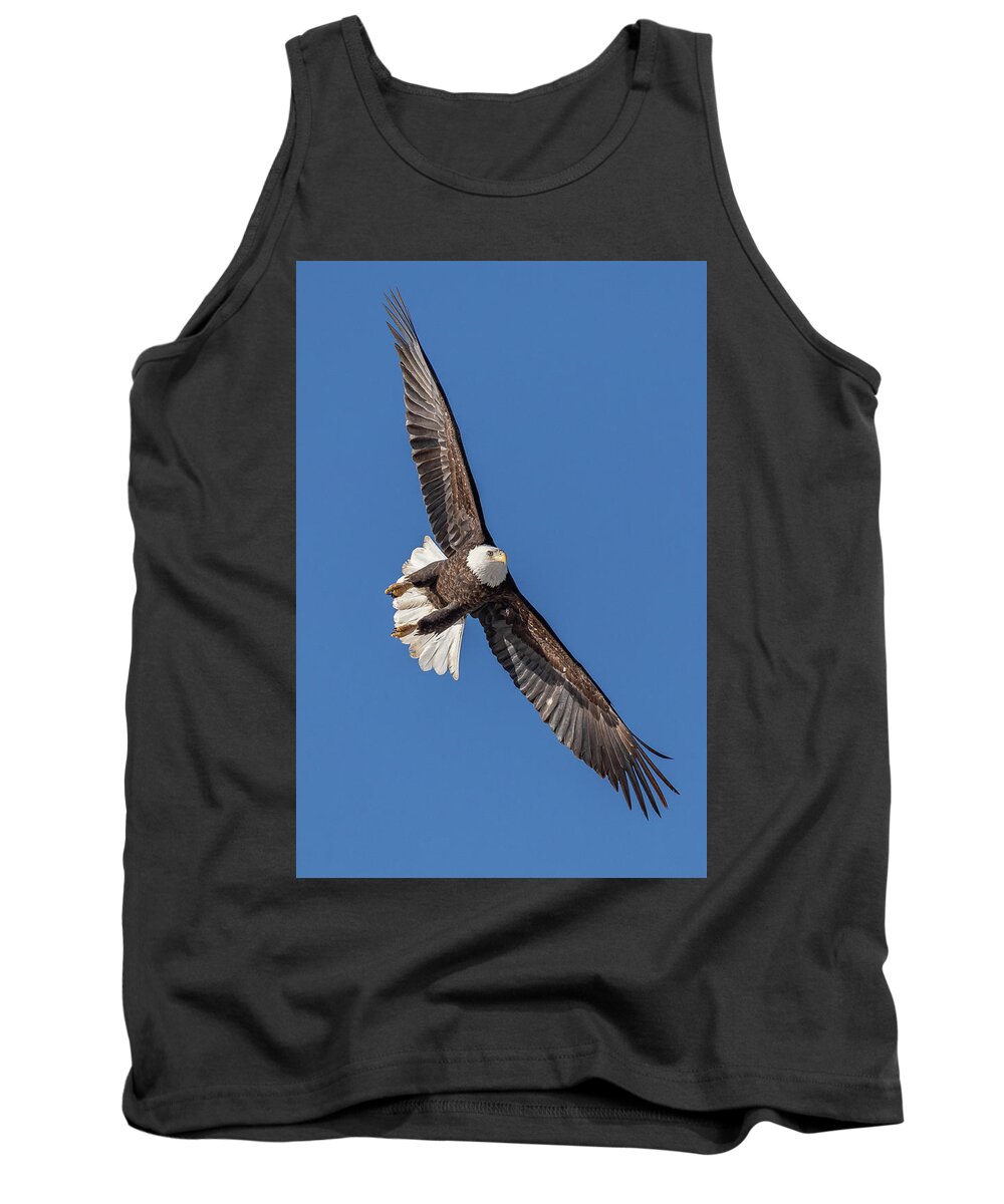 Bald Eagle Tank Top featuring the photograph Bald Eagle Intercepts the Approach Vector by Tony Hake