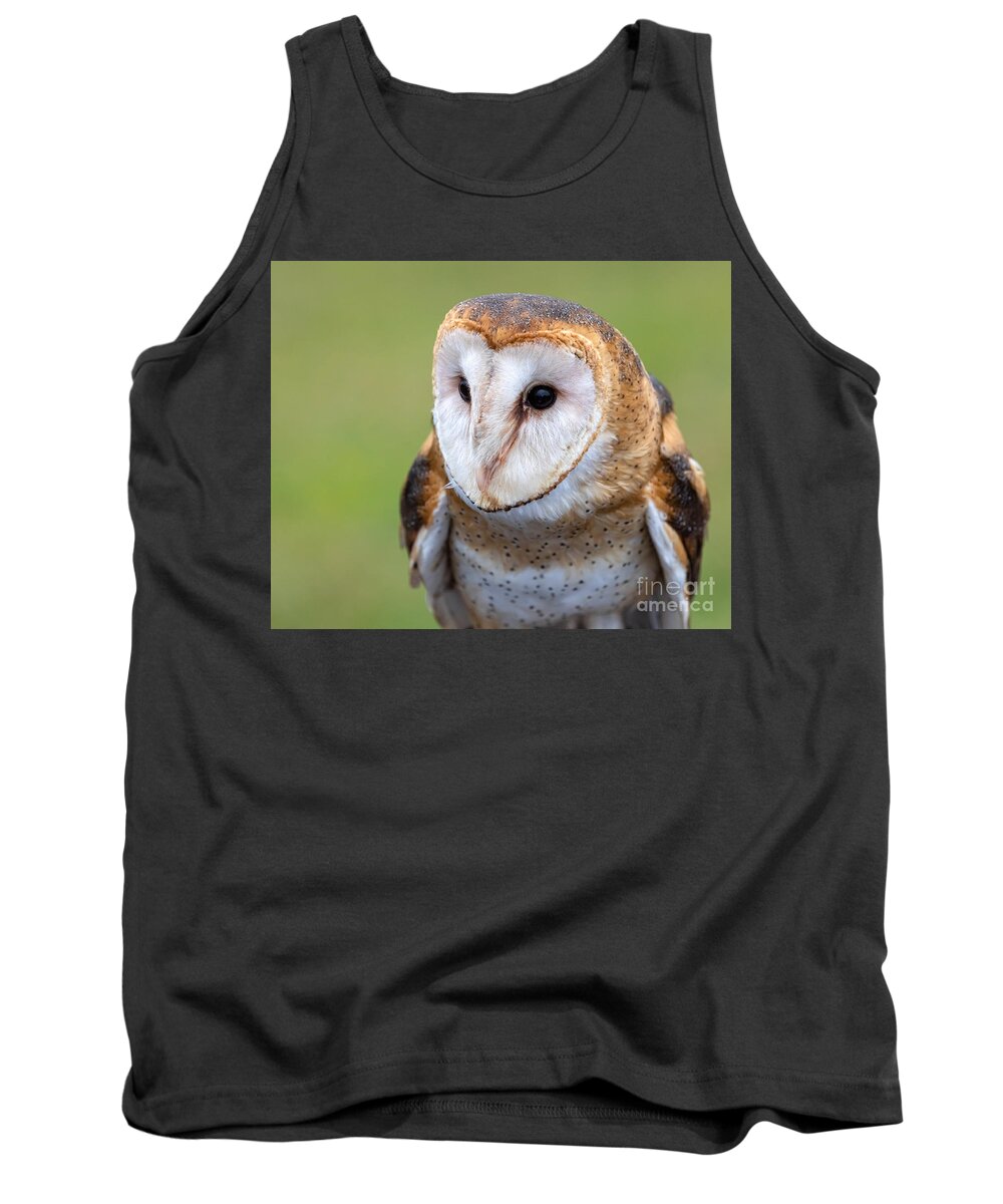 Photography Tank Top featuring the photograph Barn Owl by Alma Danison