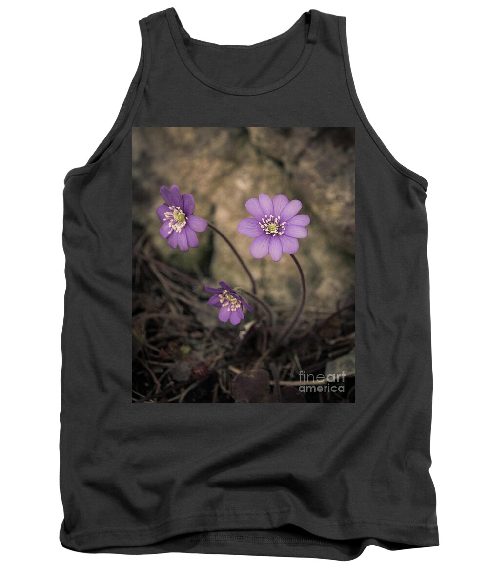 Common Tank Top featuring the photograph Blue violet anemone flower growing in a stone wall by Amanda Mohler