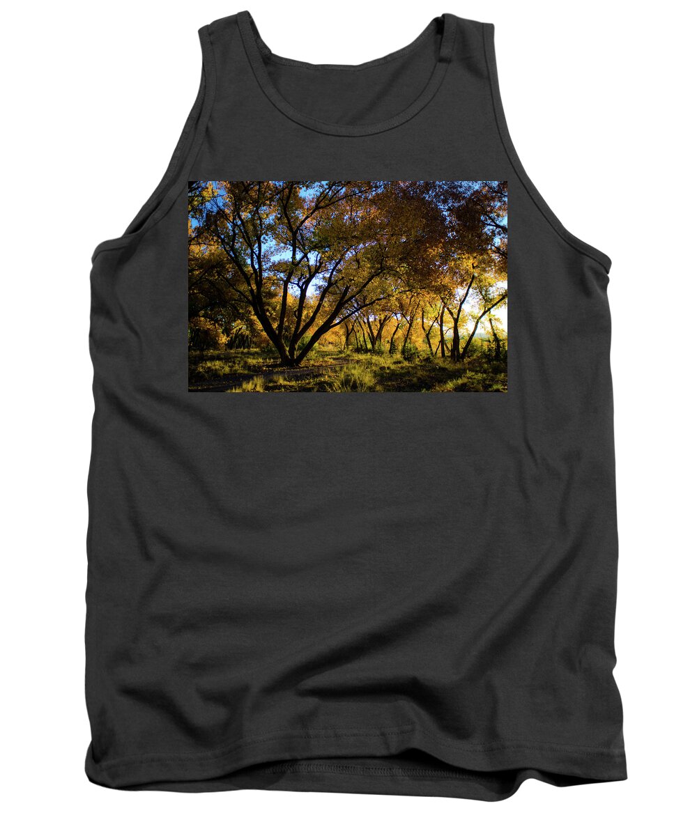 Bosque Tank Top featuring the photograph Bosque Color by Jeff Phillippi