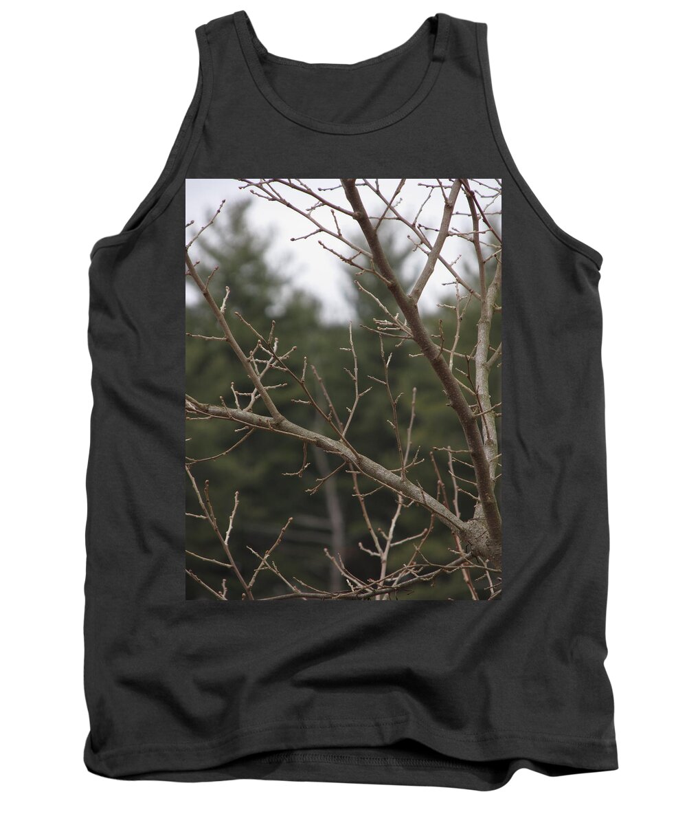 Branches Tank Top featuring the photograph Branches - #1283 by StormBringer Photography