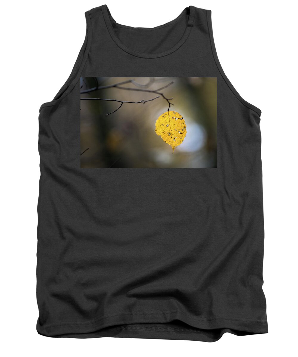 Fall Tank Top featuring the photograph Bright Fall Leaf 6 by Michael Arend