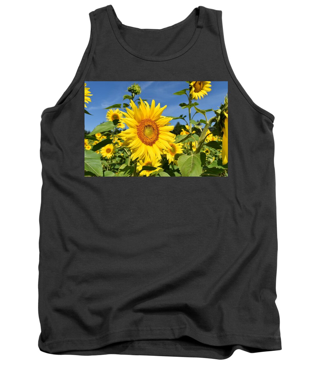 Sunflower Tank Top featuring the photograph Bright Sunflower by Rose Guinther