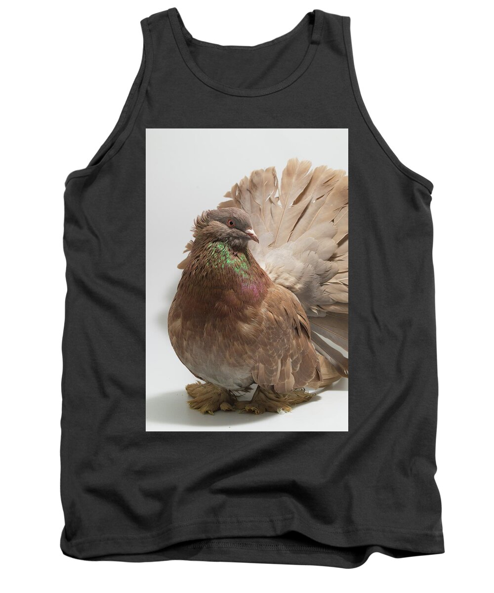 Pigeon Tank Top featuring the photograph Brown Indian Fantail Pigeon by Nathan Abbott