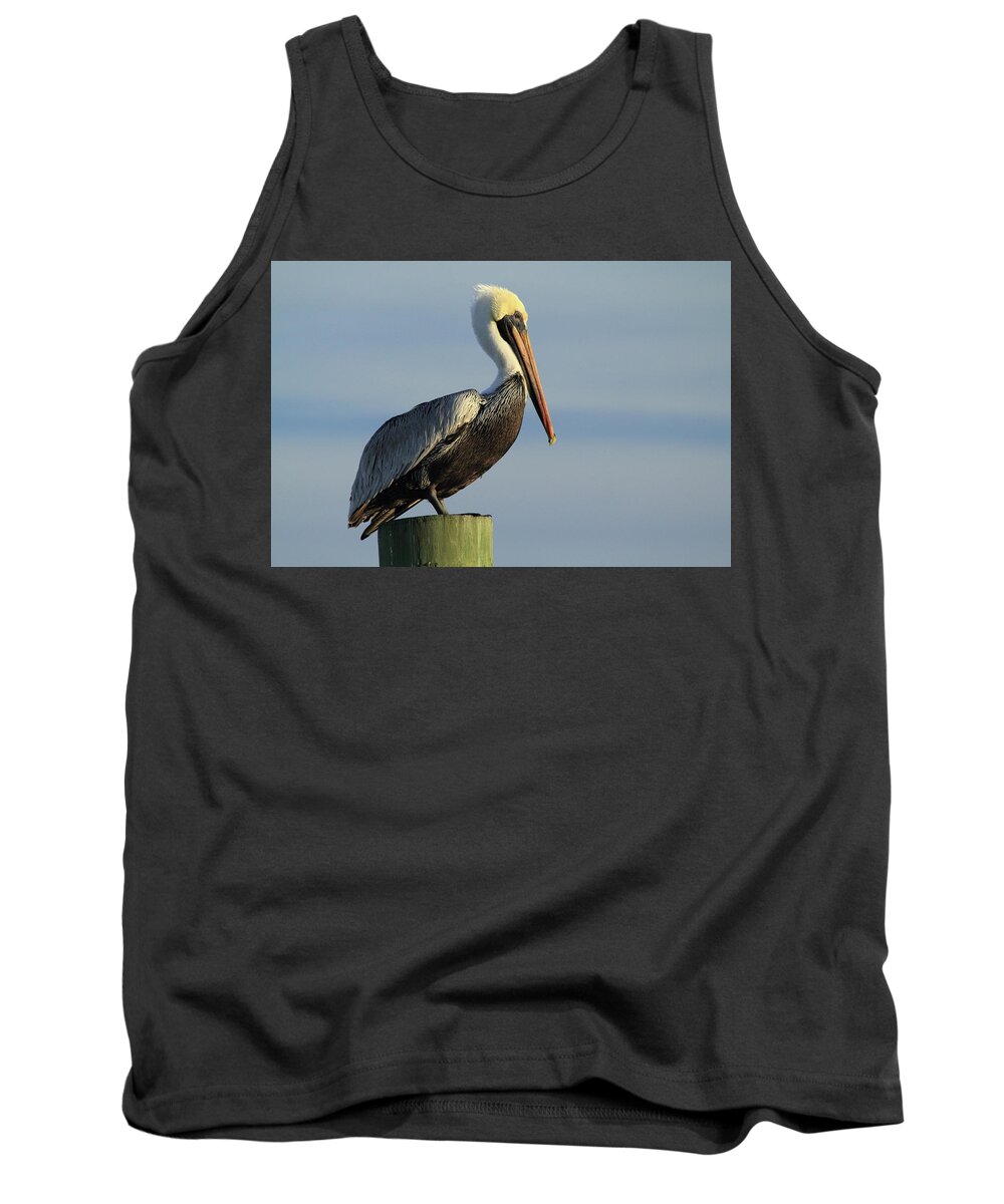 Pelican Tank Top featuring the photograph Brown Pelican by Dave Guy