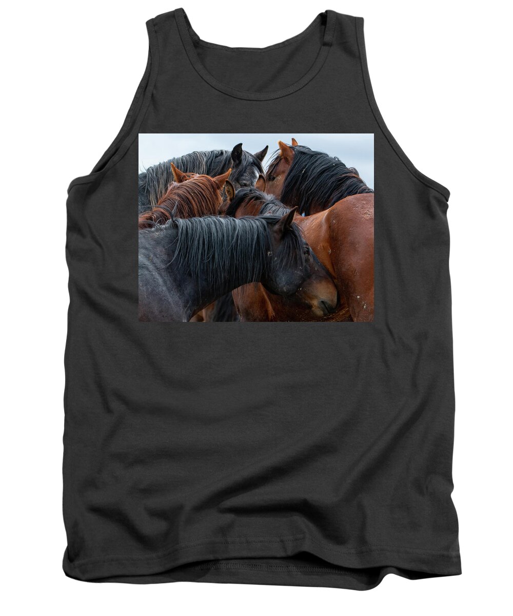 Wild Horses Tank Top featuring the photograph Buddies by Mary Hone