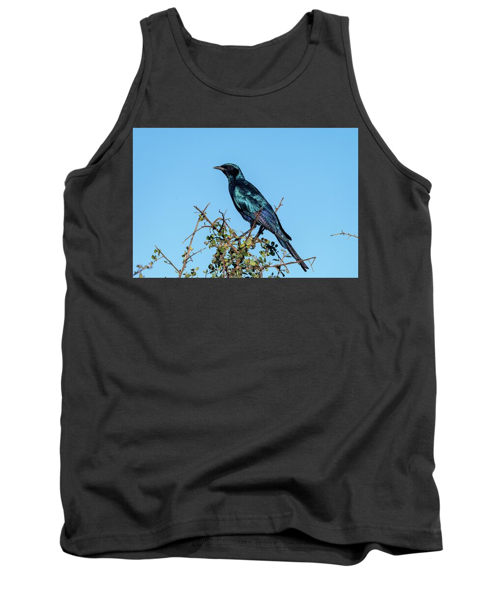Burchell's Starling Tank Top featuring the photograph Burchell's Starling by Mark Hunter