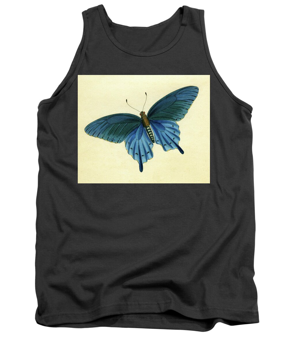 Entomology Tank Top featuring the mixed media Butterflies detail - Papilio philenor by Unknown