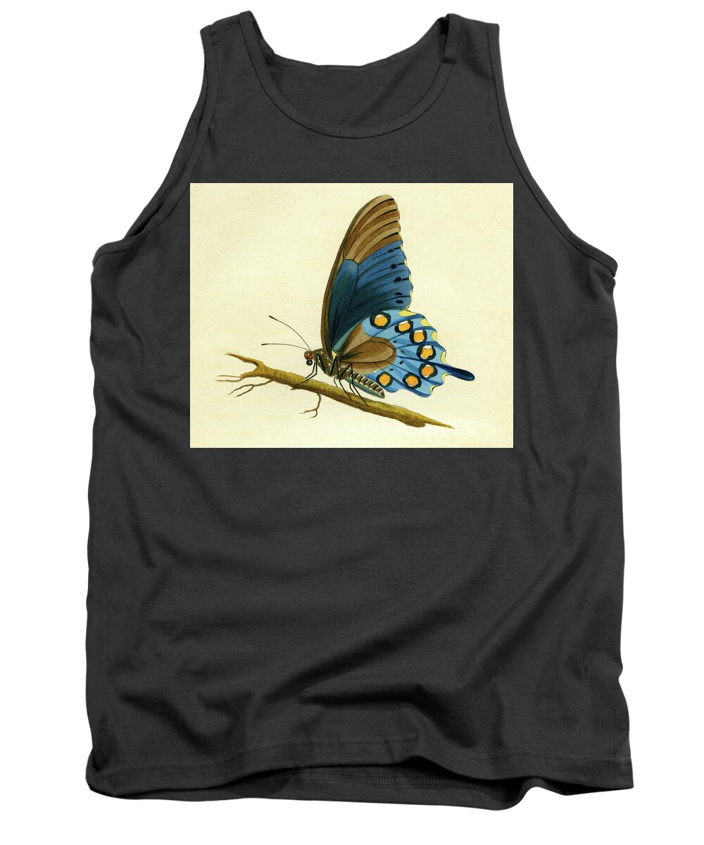 Entomology Tank Top featuring the mixed media butterfy detail - Papilio Philenor by Unknown