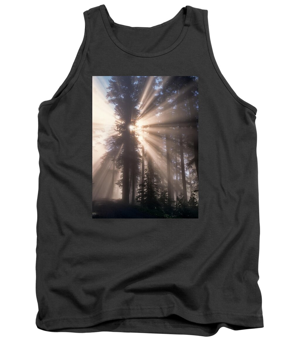 Fog Tank Top featuring the photograph Cathedral Trees by Robert Potts