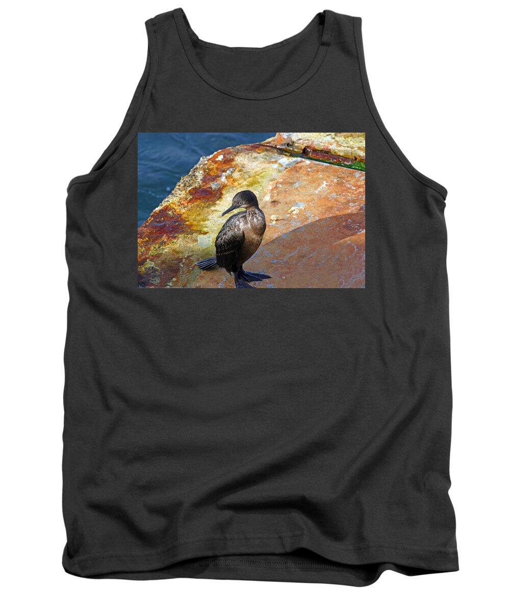 Cormorant Tank Top featuring the photograph Double-Crested Cormorant by Anthony Jones