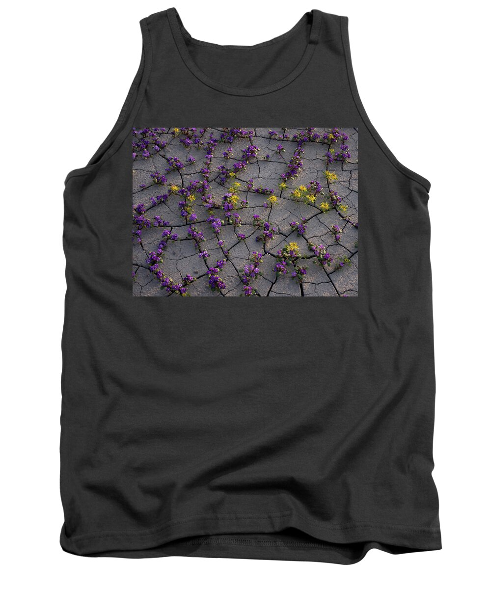 Utah Tank Top featuring the photograph Cracked Blossoms II by Emily Dickey