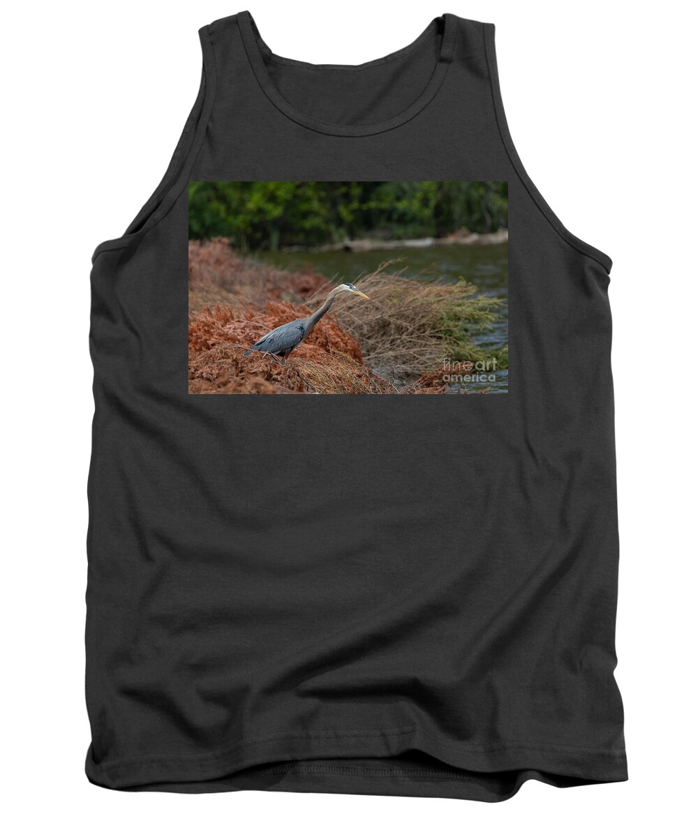 Photography Tank Top featuring the photograph Curious Blue by Alma Danison