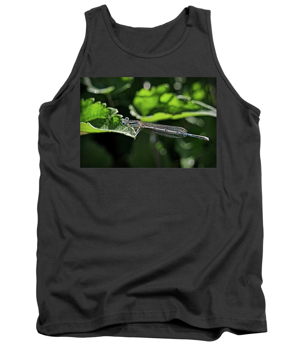 Blue Damsel Fly Tank Top featuring the photograph Damsel fly by Martin Smith