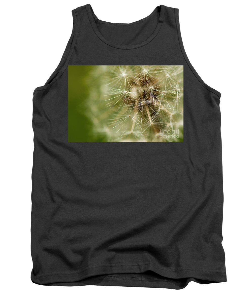 Dandelion Tank Top featuring the photograph Dandelion Puff Ball by JT Lewis