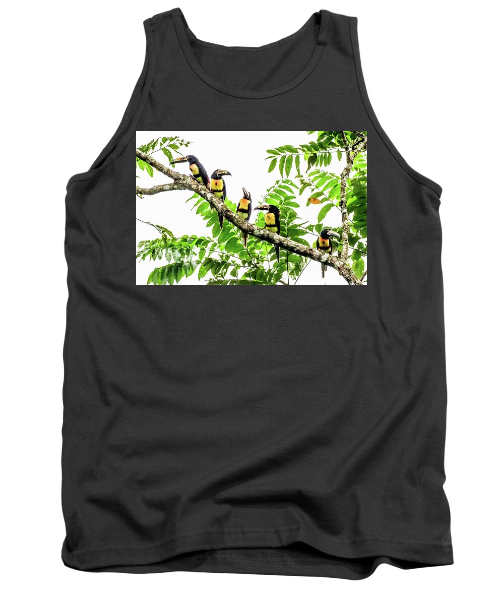 0096 Tank Top featuring the photograph Dawn Patrol by Tom and Pat Cory