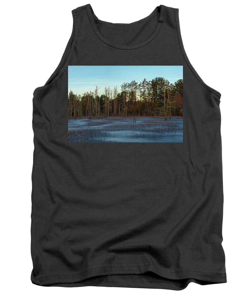 Winter Tank Top featuring the photograph Dead Zone Pano by William Bretton