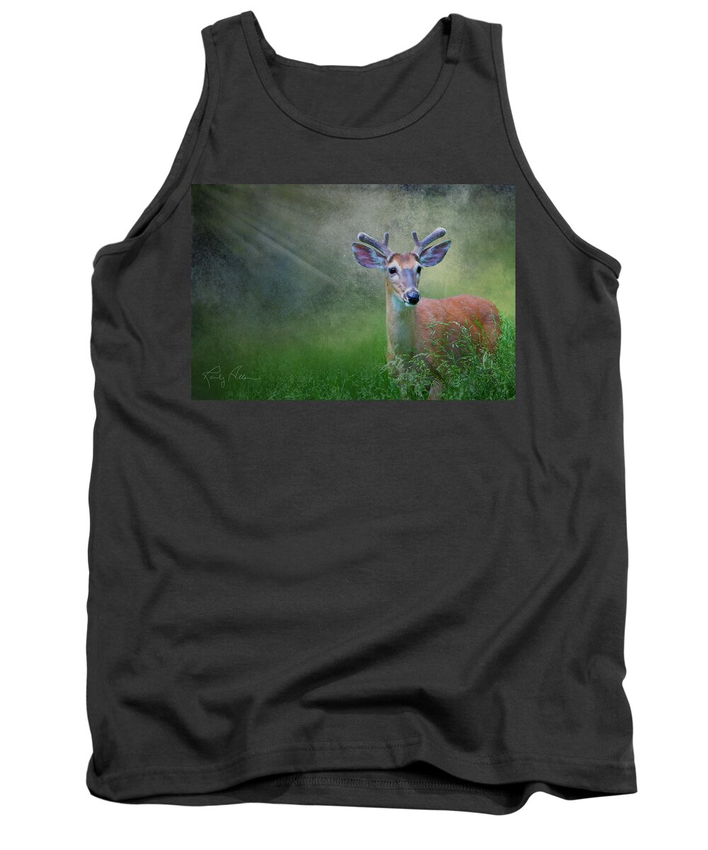 Buck Tank Top featuring the photograph Deer in Velvet by Randall Allen