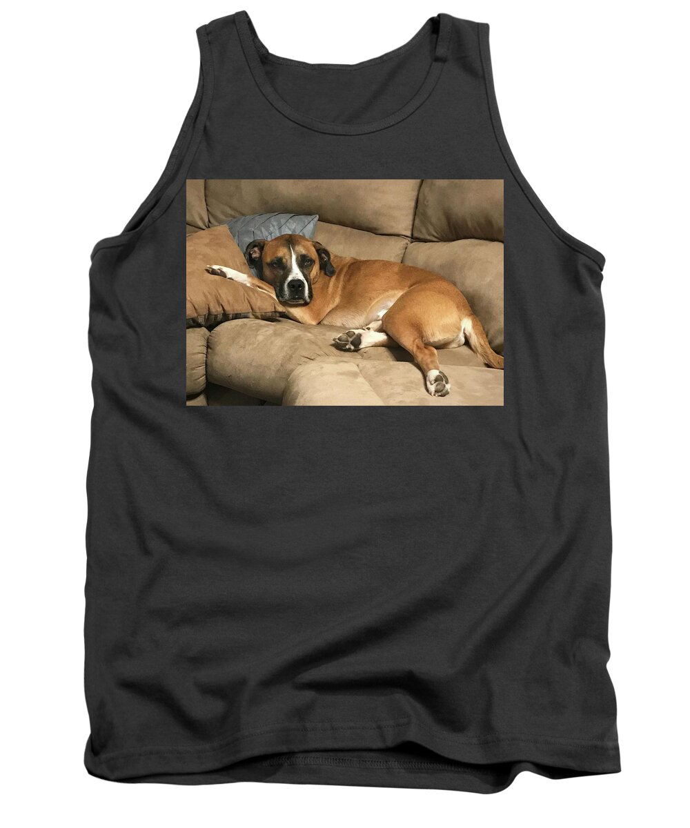  Tank Top featuring the photograph Dog Life by Jack Wilson