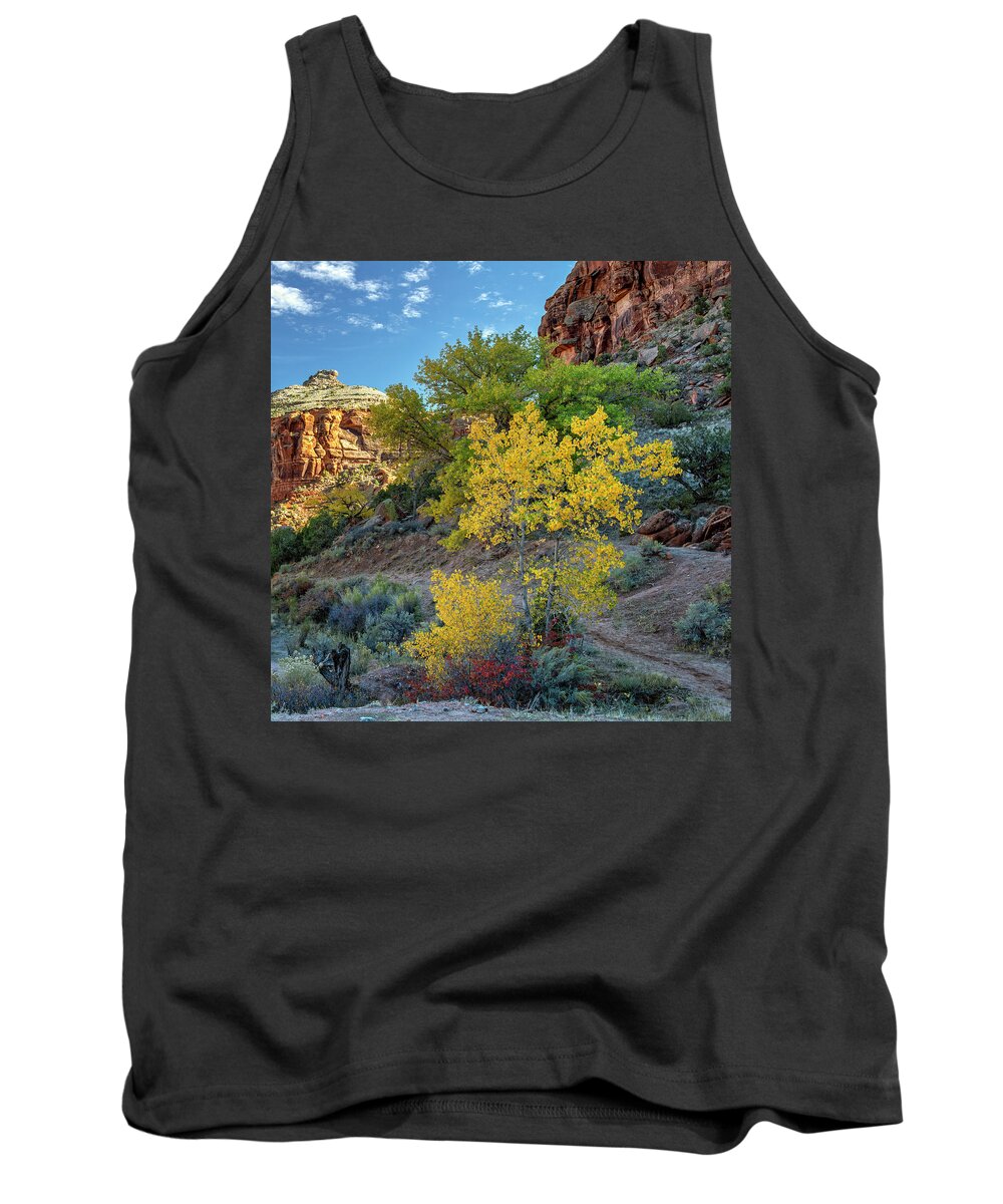 Dominguez Canyon Tank Top featuring the photograph Dominguez Gold by Angela Moyer