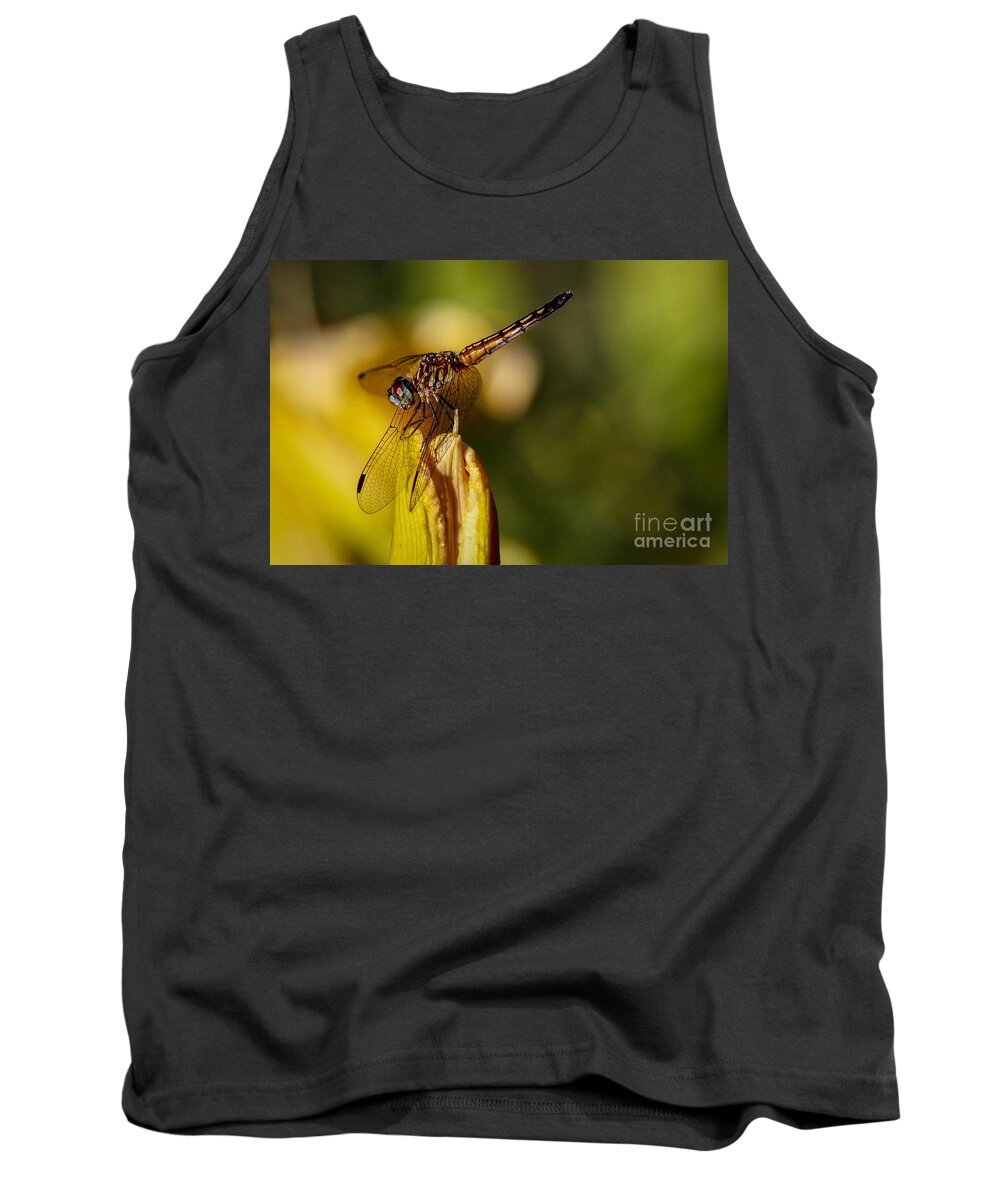Dragonfly Tank Top featuring the photograph Dragonfly in the Limelight by Susan Rydberg