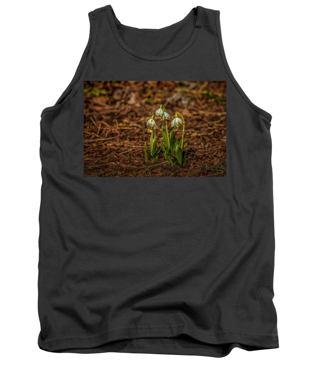 Early Dreams Tank Top featuring the photograph Early Dreams #i6 by Leif Sohlman