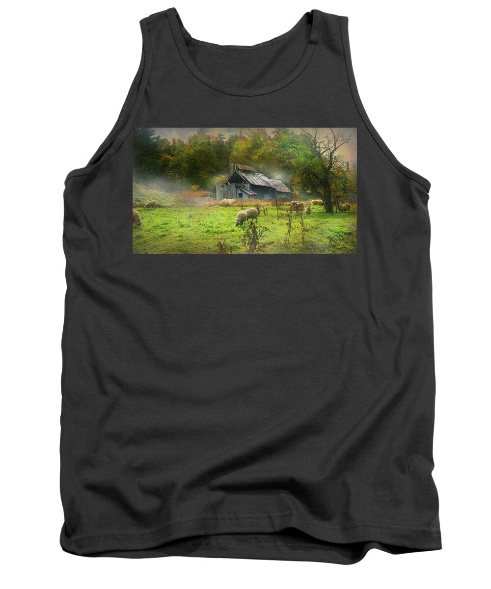 Sheep Tank Top featuring the photograph Early Morning Grazing by John Rivera